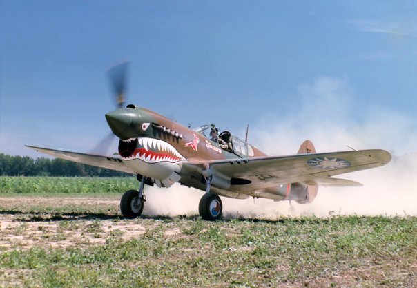 P-40 landing by Steve Donacik