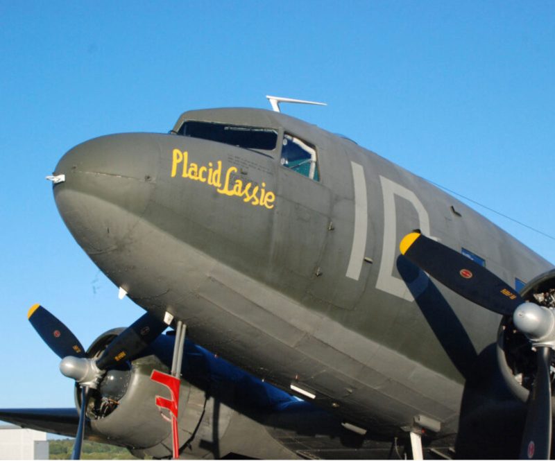 Placid Lassie C-47